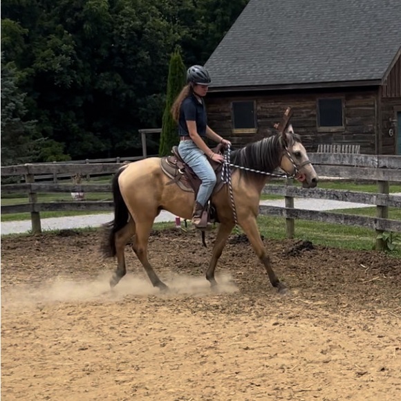 Meet your Posher, Eliana - Picture 14 of 14